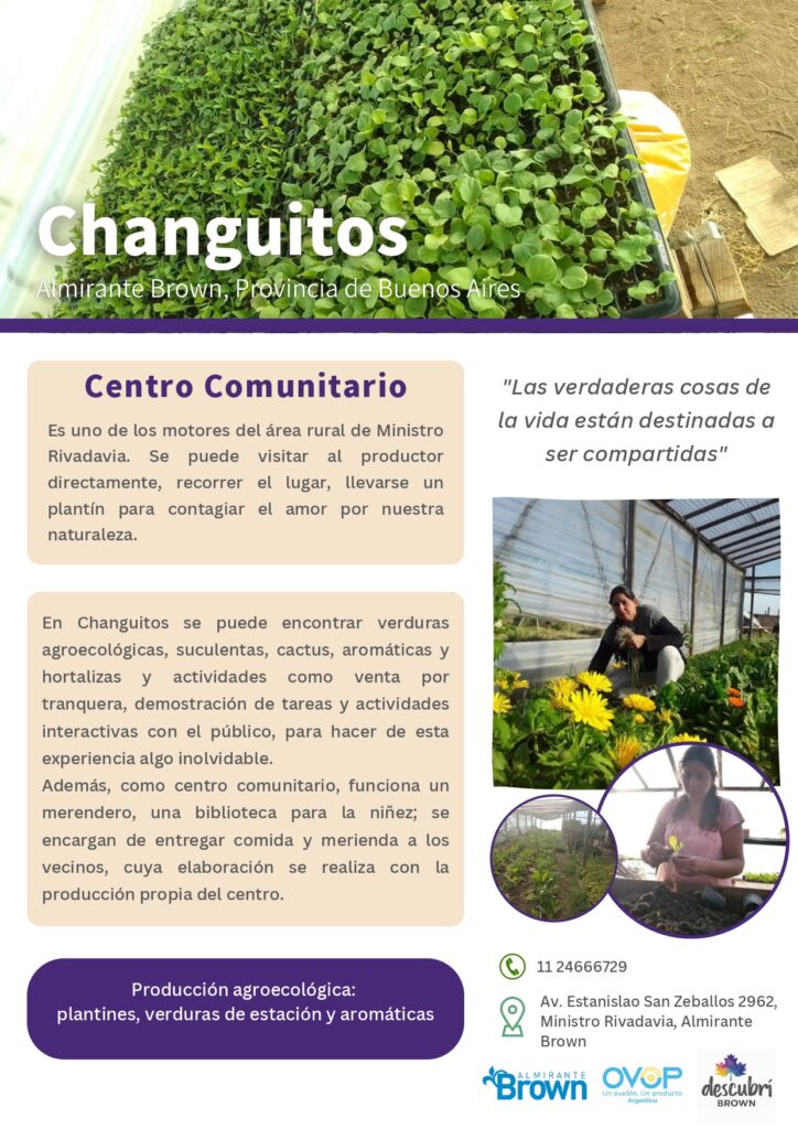 DESCUBRI BROWN LOS CHANGUITOS